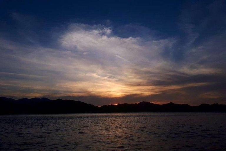 Langkawi: Mangrove Night Safari with BBQ Dinner