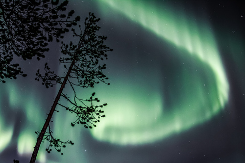 Saariselkä: Tour fotografico dell'aurora in auto con trasferimento e bevande