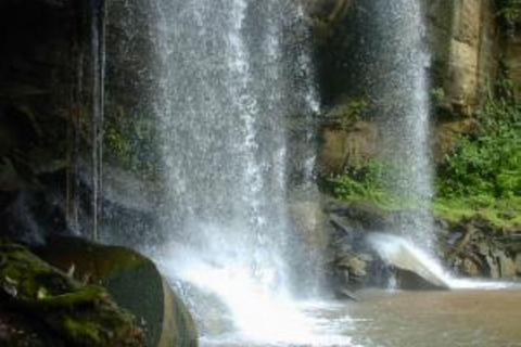 Depuis mombasa : Safari d&#039;une journée dans la réserve nationale des collines de Shimba