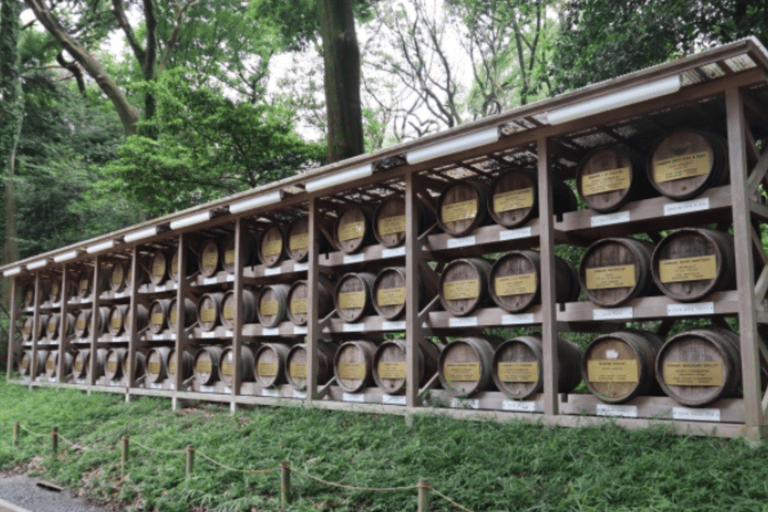 جولة طوكيو للثقافة الشعبية والتقاليد: من ضريح ميجي إلى هاراجوكو