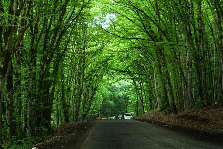 Quba a fabulous land -Full-Day Guided Tour