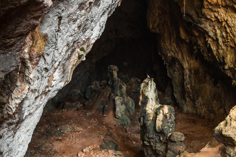 Desde Heraklion: Quad Safari Creta Salvaje Excursión Nocturna