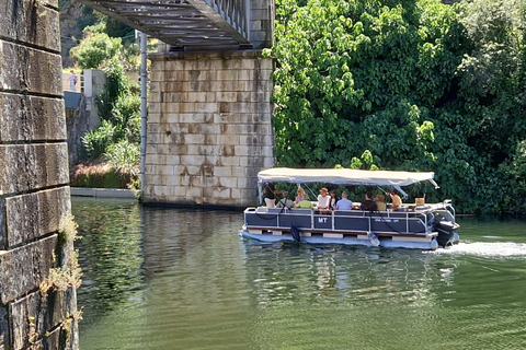 VALLEE DU DOURO : Visite guidée des vignobles, croisière et déjeuner dans un établissement vinicole.Visite privée