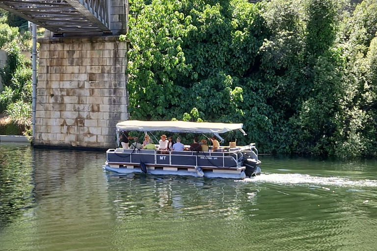 VALLEE DU DOURO : Visite guidée des vignobles, croisière et déjeuner dans un établissement vinicole.Visite privée