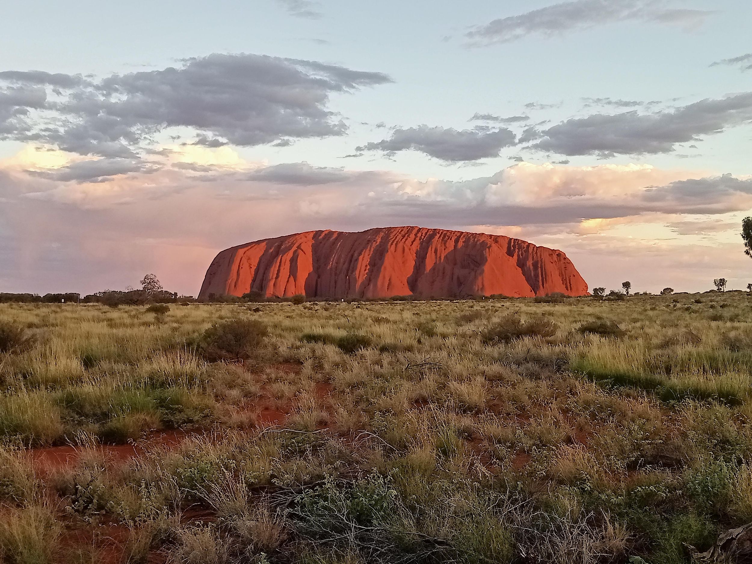 Alice Springs: Personalisierte Tour im Northern Territory
