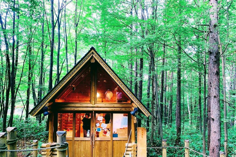 Sapporo: 2-Day Furano Lavender & Biei Blue Pond Summer Tour