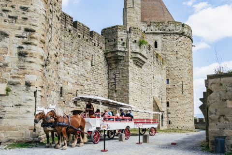 Tuluza: jednodniowa wycieczka do Carcassonne