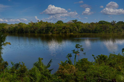 From Madre de Dios Night trekking in the Amazon jungle