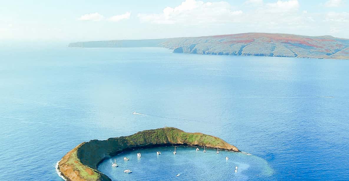 From Ma'alaea Harbor Molokini Snorkeling Adventure GetYourGuide
