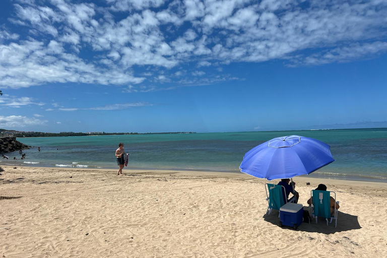 El Yunque Rainforest; Waterslides, Beach, Dine and Shop Tour El Yunque Rainforest Waterslides and Beach Tour