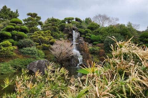 Jeju's Oosterse: Euforie hele dag tour