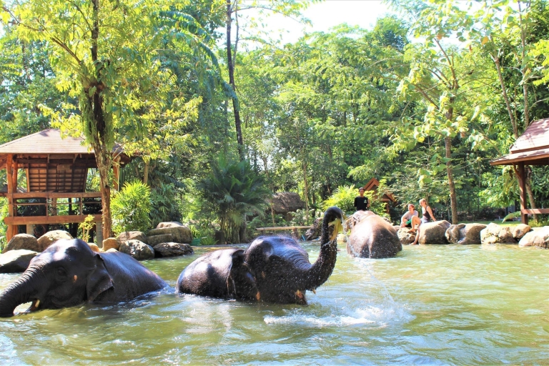Khao Lak: Etyczne doświadczenie w sanktuarium słoniKhao Lak: Doświadczenie w opiece nad słoniem