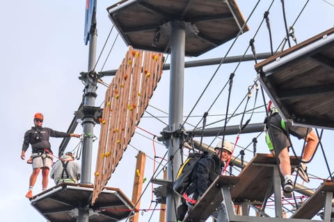Auckland: Wero Climb Adventure Course - Image 2