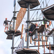 Auckland: Wero Climb Adventure Course Auckland: Wero Climb Adventure Course