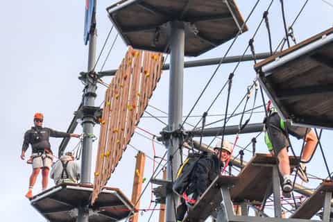 Auckland: Wero Climb Adventure Course - Image 3