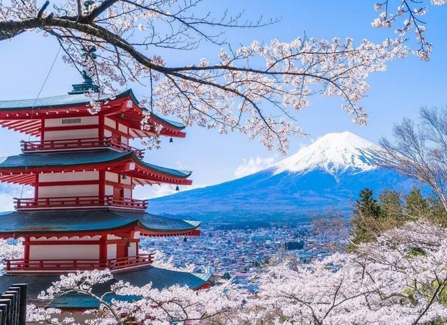 Iconic Mt. Fuji Day Trip:5 Instagram Spots&Blooms from Tokyo