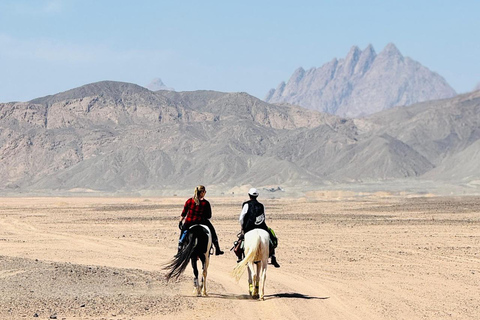 الغردقة: جولة ركوب الخيل في الصحراء والبحر مع خيار السباحةجولة لمدة ساعتين لركوب الخيل بدون السباح