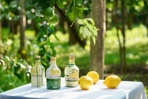 Tour de Sorrente au citronTournée des citrons