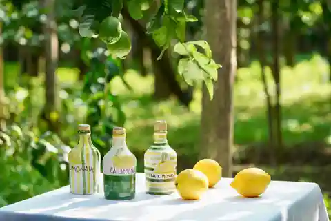 Sorrento Lemon-tur