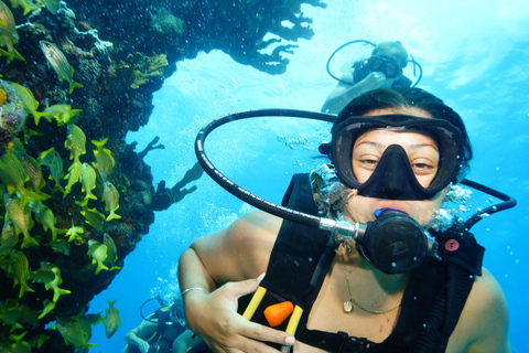 CANCUN: 2T REEF DIVES FOR CERTIFIED DIVERS