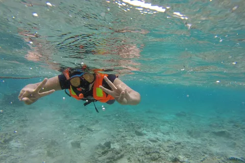 Gita di snorkeling a Pigeon Island