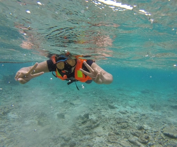 Viagem de mergulho com snorkel para a Ilha Pigeon