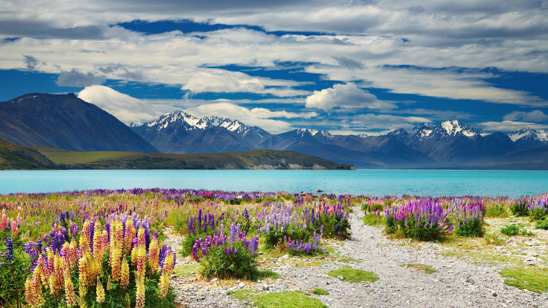 Privater Panorama-Transfer von Queenstown zum Lake Tekapo
