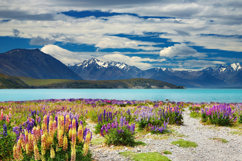 Queenstown to Lake Tekapo Private Scenic Transfer