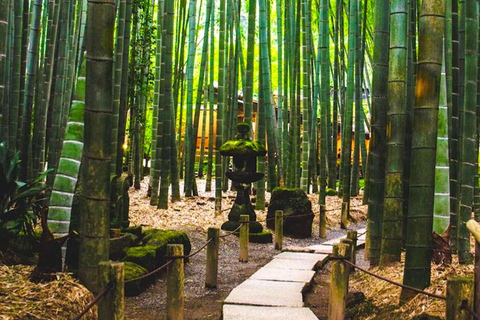 Tokyo: Kamakura, Yokohama Private Car Tour By English Guide