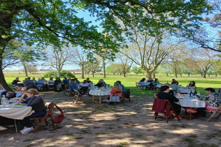 从布宜诺斯艾利斯出发：埃尔翁布德阿雷科（含接送服务）从布宜诺斯艾利斯出发：阿雷科的奥姆布树，含接送服务