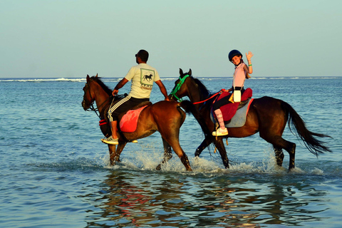 Marsa Alam: Passeio a cavalo pelo mar e pelo deserto