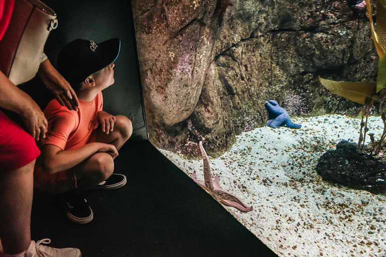 Lisbon Oceanarium Entrance Ticket