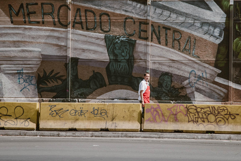 Santiago de Chile: 100% private photo tour, full day