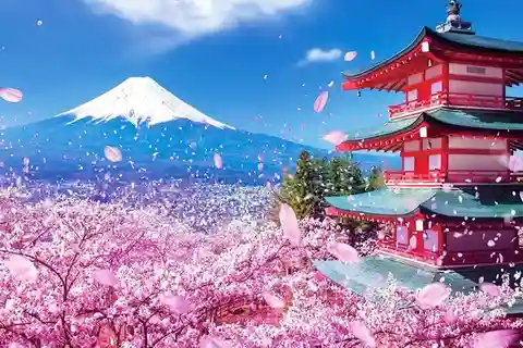 Tokyo: Private Mount Fuji and Hakone Day Trip with Guide