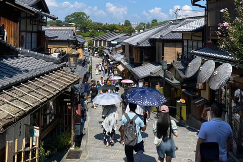 Kyoto/Osaka: Kyoto and Nara Customized Private Guided Tour