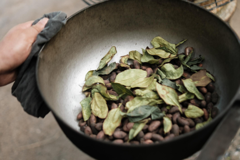 Cacao and Poza del Amor Experience in Tayrona