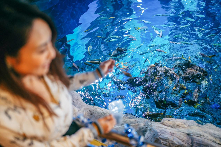 Hong Kong: Ocean Park Coral Fish Feeding @ Grand Aquarium Ocean Park Coral Fish Feeding @ Grand Aquarium (OSPG1056)