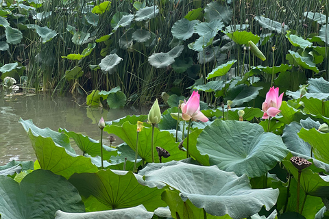 Muscat: Wadi Shab Hike and Bimmah Sinkhole Tour with Lunch Muscat: Wadi Shab Hike and Bimmah Sinkhole Tour with Lunch