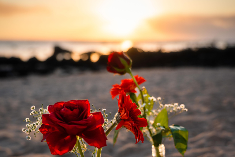 Maurice : séance photo au coucher du soleil (séance photo de lune de miel/familiale)Forfait familial