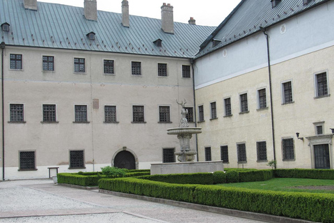 Bratislava: Castles & Panoramic Views of Slovakia