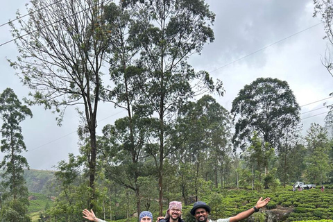 From Kandy to Nuwara Eliya & Moon Plains – Tuk‑Tuk Day Tour From Kandy: Moon Plains Highlands Viewpoint Experience