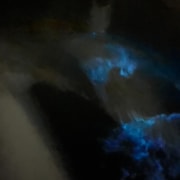 Cat Ba: Lan Ha Bay Bioluminescent Plankton Boat Tour