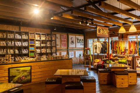 Kandy: Royal Botanical Garden & Tea Factory Tour Pick & Drop Without Entry Ticket in Royal Botanical Garden