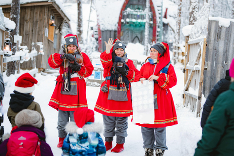 Levi：Arcandia，精灵法庭/日光和公园/黑暗精灵法庭：3 小时体验和公园之旅