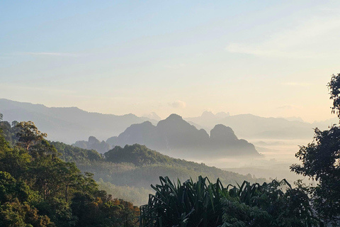From Khao Lak: Bamboo Rafting & Jungle Trekking in Khao Sok Bamboo Rafting and Ethical Elephant Experience