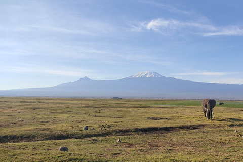 2-tägige Nairobi-Amboseli High End Tour