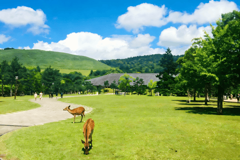 From Osaka: Kyoto and Nara Day Trip
