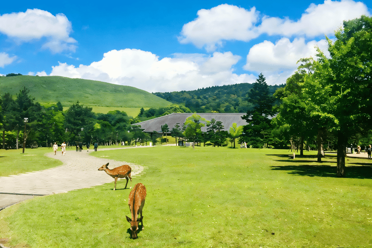 From Osaka: Kyoto and Nara Day Trip