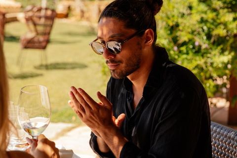 De Barcelona: Viagem de um dia a Tarragona com guia e prova de vinhos