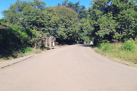 Victoria Falls: Walking Tour with Curio Market Visit